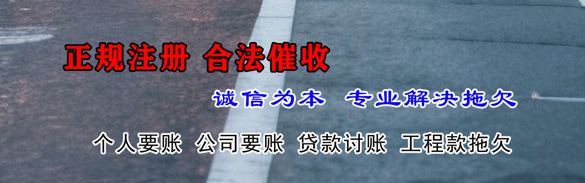嘉鱼讨债公司